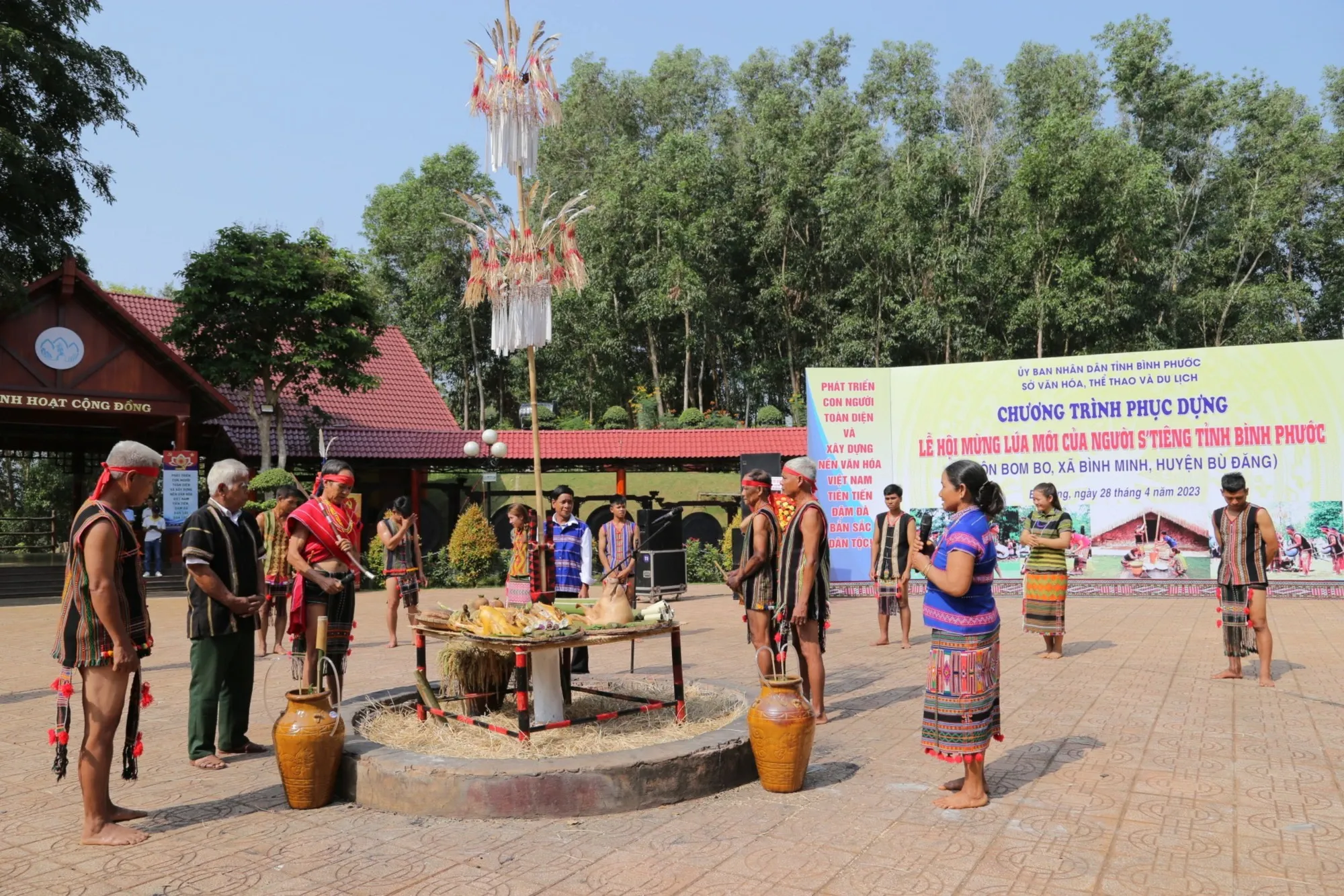 Mùa lúa mới và tiếng cười buôn làng